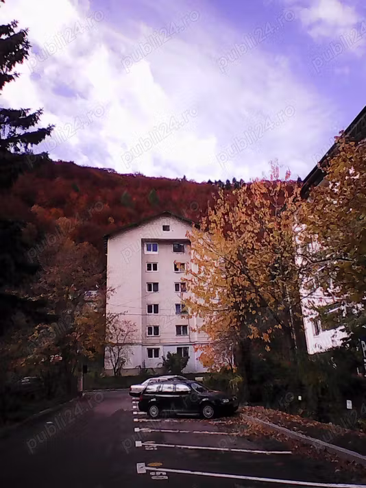 Apartament Sinaia