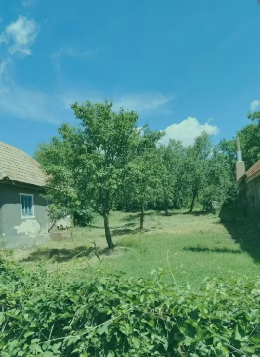 Casă Rediu