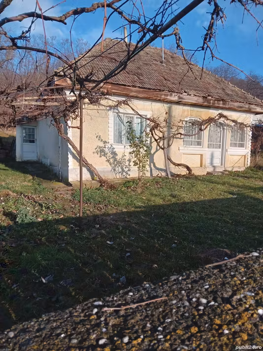 Casă Costisa