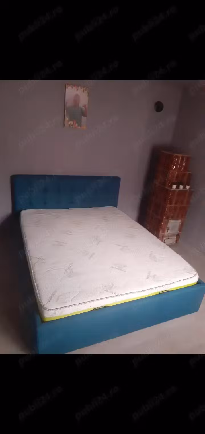 Casă de vânzare jud teleorman