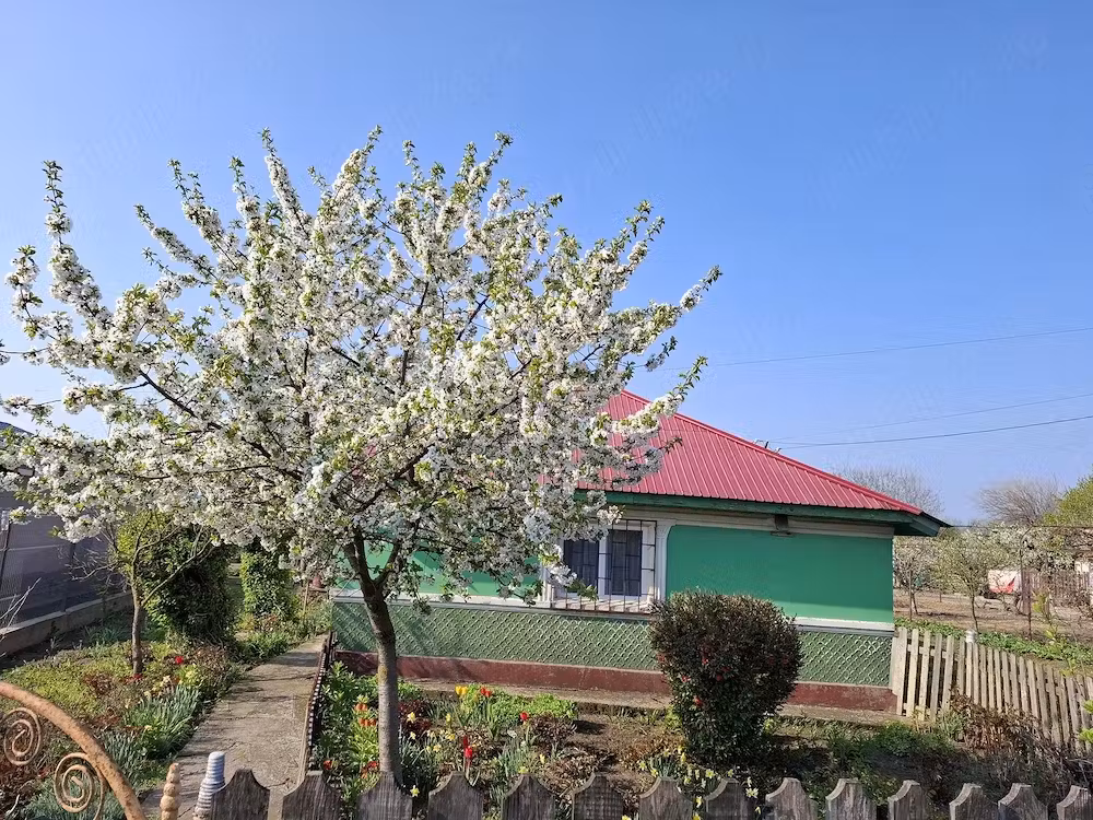 Casă · 3 camere · 56 m², Misleanu, Urziceni