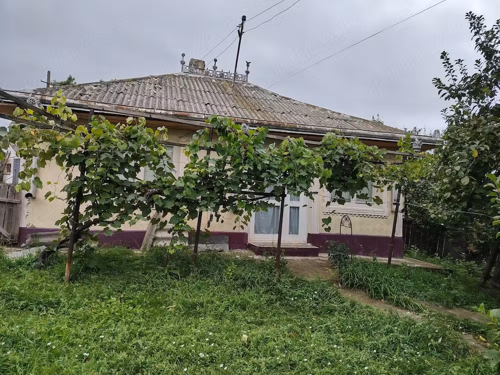 Vând  casa și teren in Sat Bâznoasa, Com.Lunca, Jud.Botoșani
