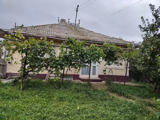 Casă Sat Bâznoasa, Com.Lunca, Jud.Botoșani