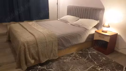 Apartament Vasile%252525252bAaron