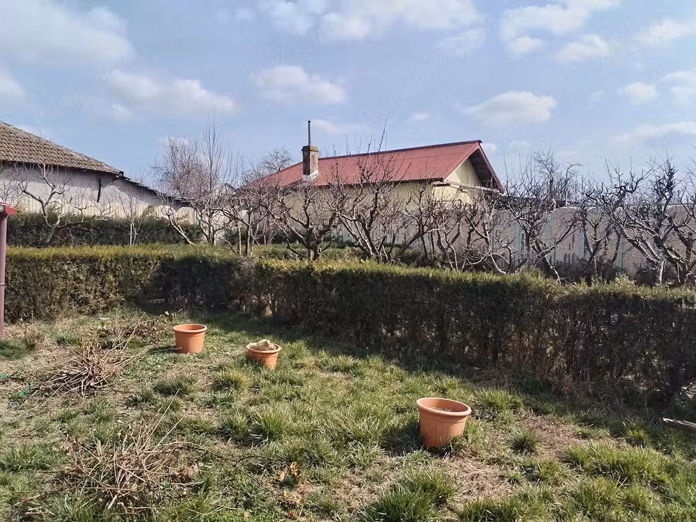 NEGRU VODA-Casa 5 camere garaj-livada 40 pomi fructiferi - Central