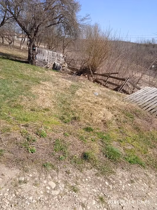 Casă Rediu