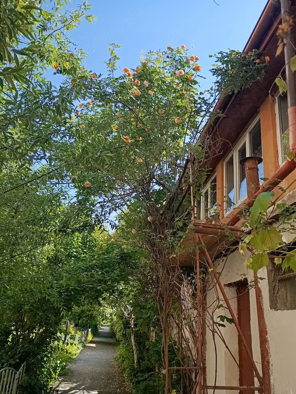 Vînd casa in Rm Vâlcea