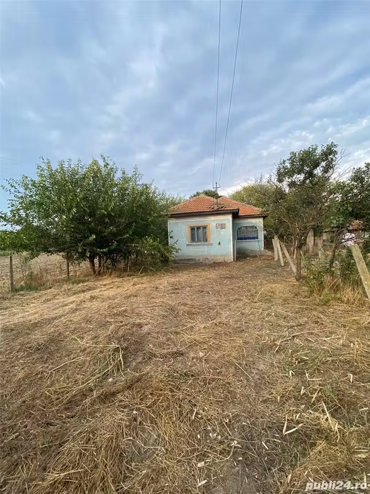Casă Sprancenata