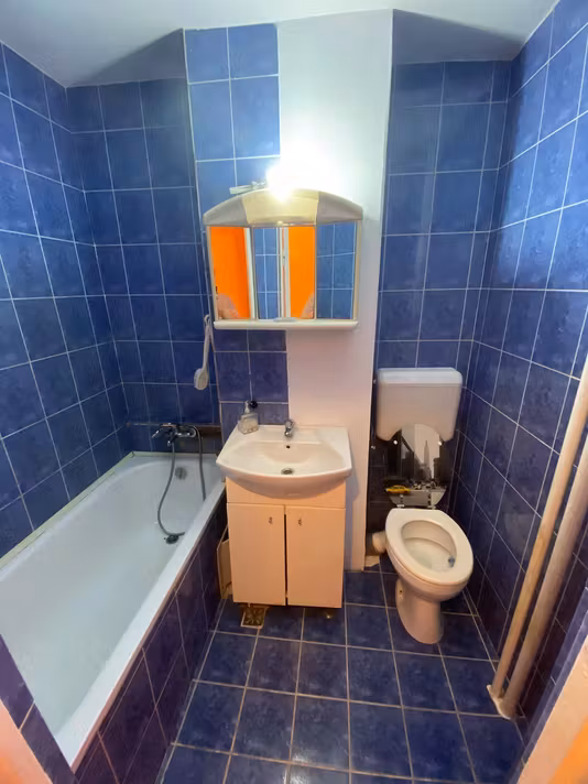 Apartament Sagului