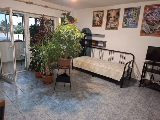 Apartament Stefan cel Mare