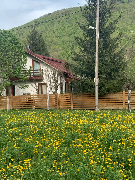 Casă Lepsa