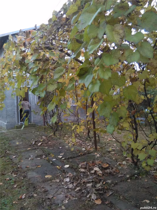 Casă Filipestii de Padure