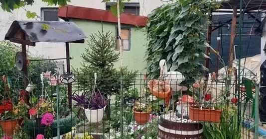 Casă Apollo