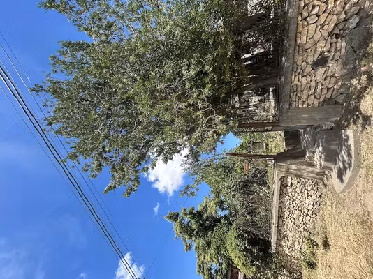 Casă Crisan