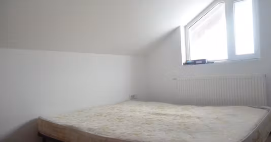 Apartament Bușteni