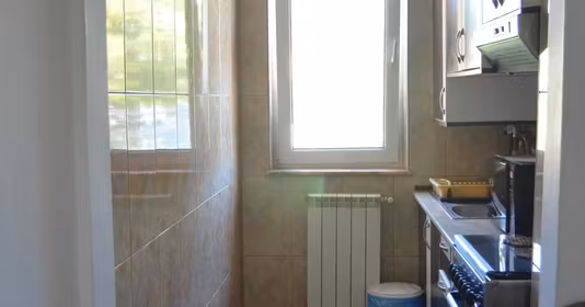 Apartament Central