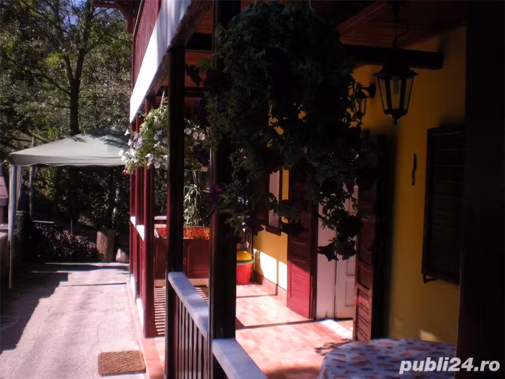 Vand Inchiriez vila sinaia 7 camere