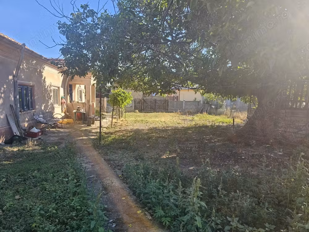Casa Odaia Turnu Magurele Teleorman