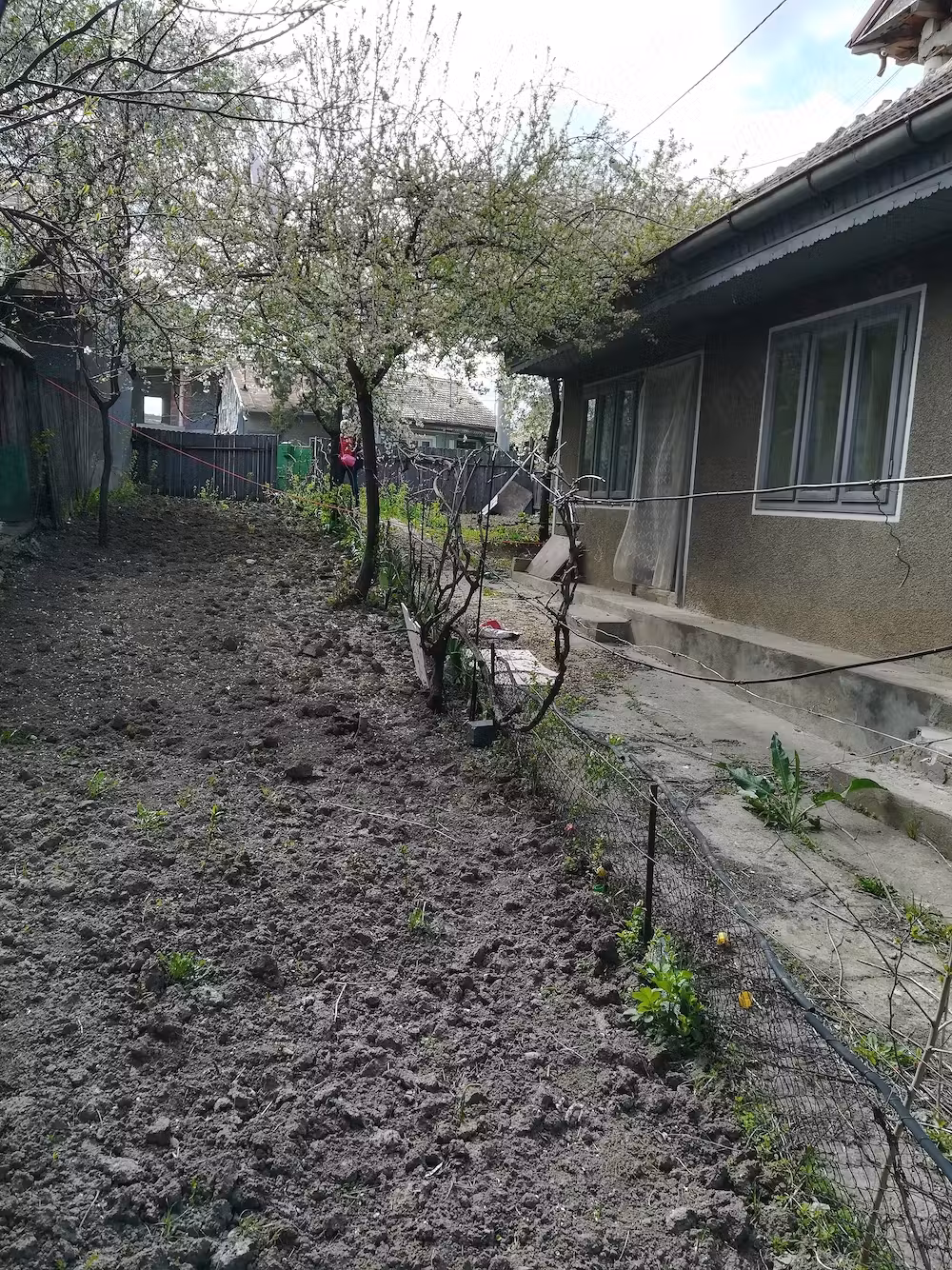 Vânzare casa oras Murgeni