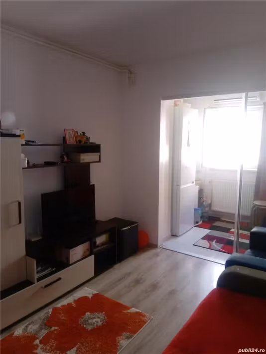 Garsonieră Theodor%2bPallady