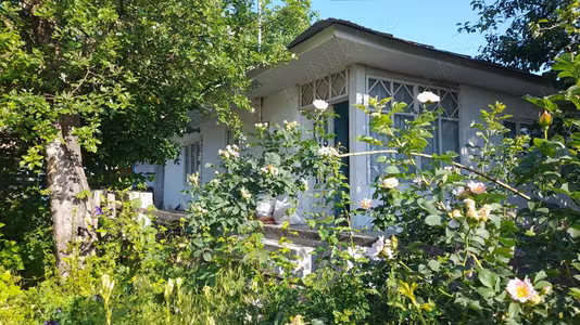 Casă Tifu