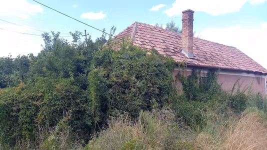 Casă Apalina