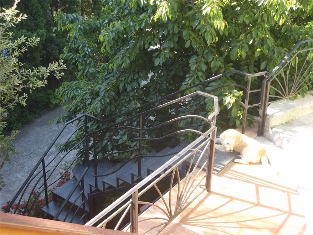 Vand casa veche in centru Cluj-Napoca, best place to live in town, 1,6 mil. euro.