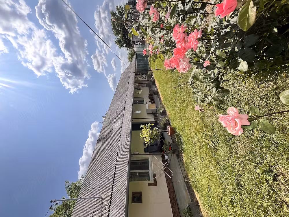 Două proprietăți de vânzare în Decebal, la cateva minute de Satu Mare