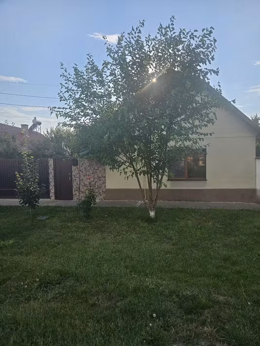 Casă Grabat