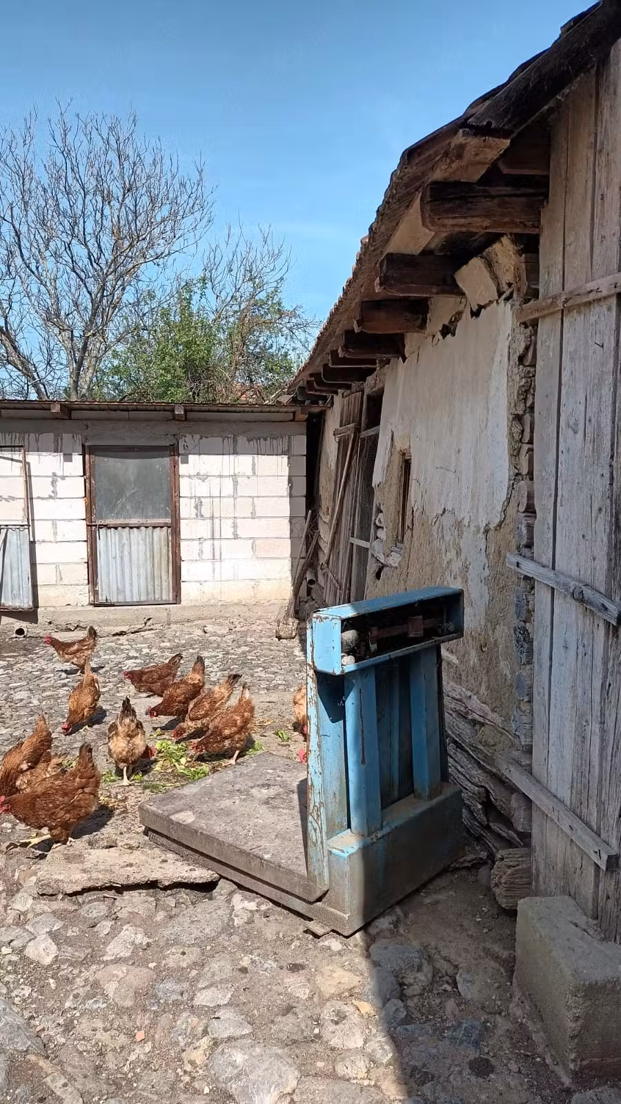 Vând casă + teren în Broșteni, județul Caraș Severin