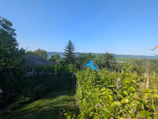 Casă Cotnari