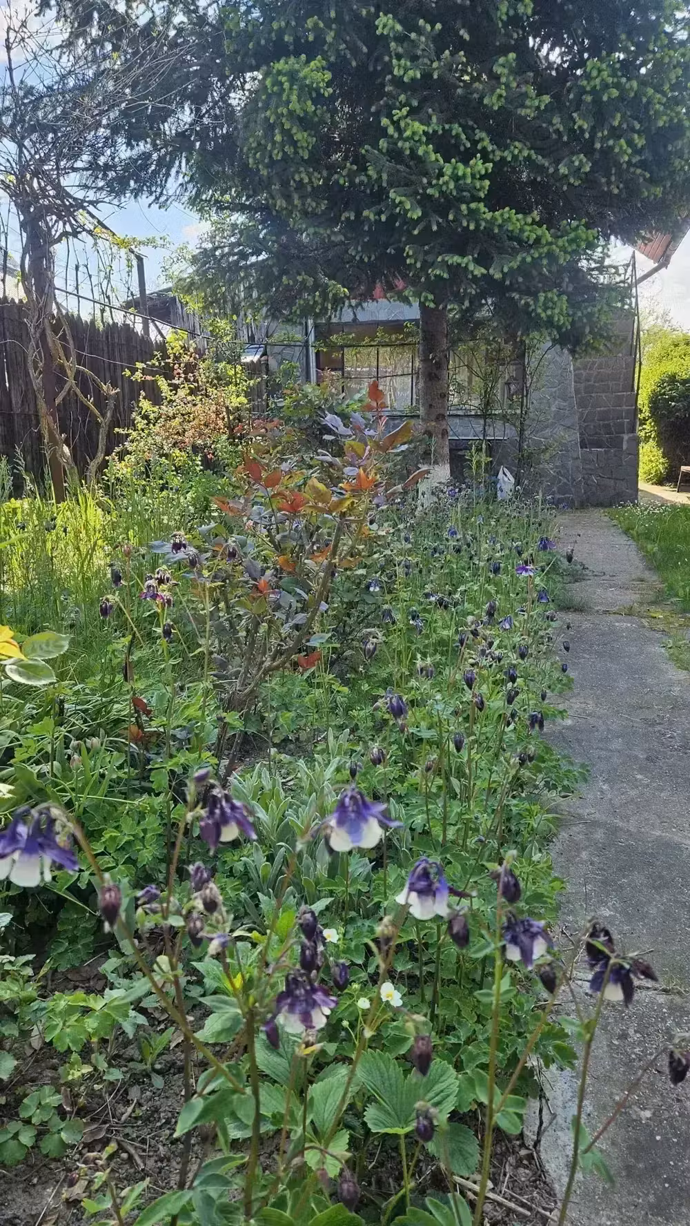 Casa de vânzare în loc. Dițești, com. Filipeștii de Pădure, jud. Prahova