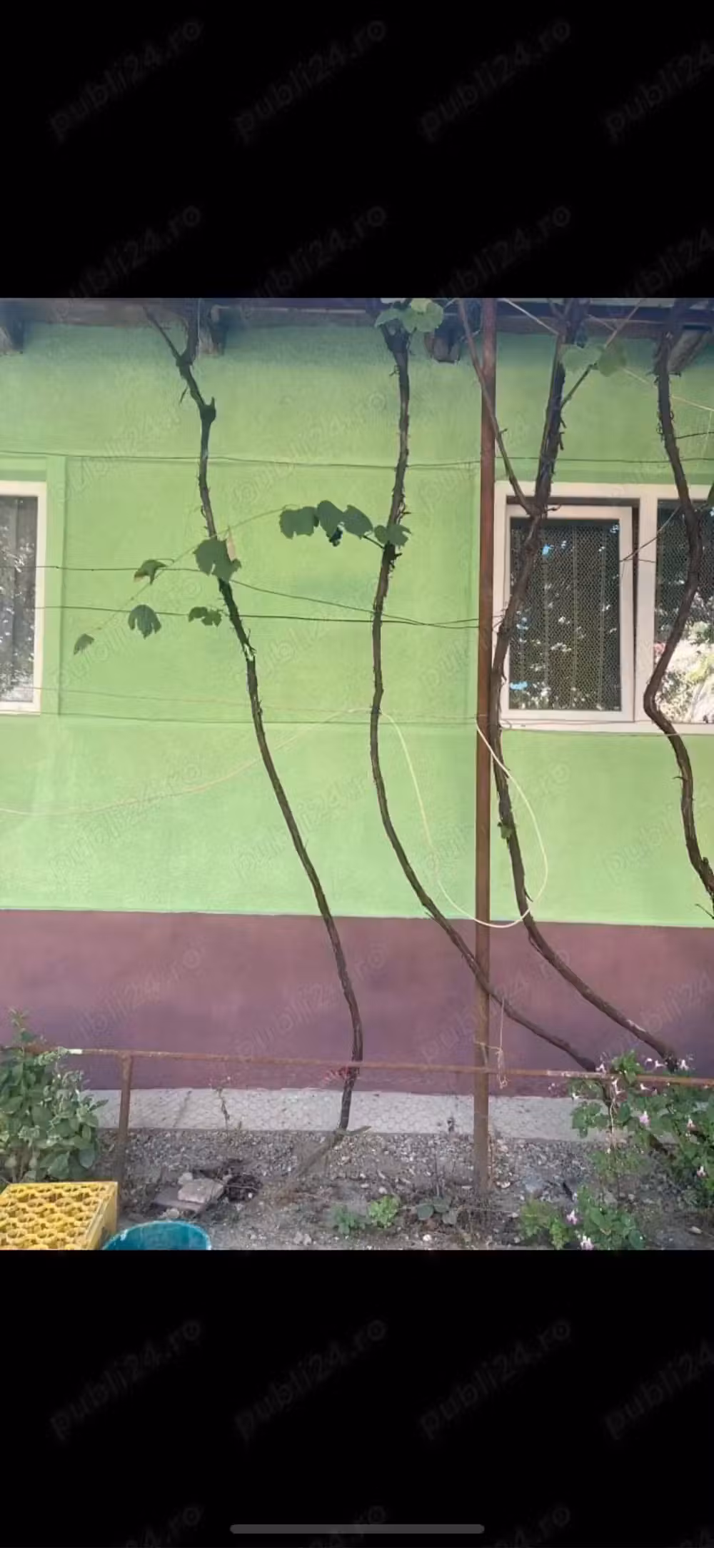 Vand casa cu teren de 18 arii in Sanpetru Almasului