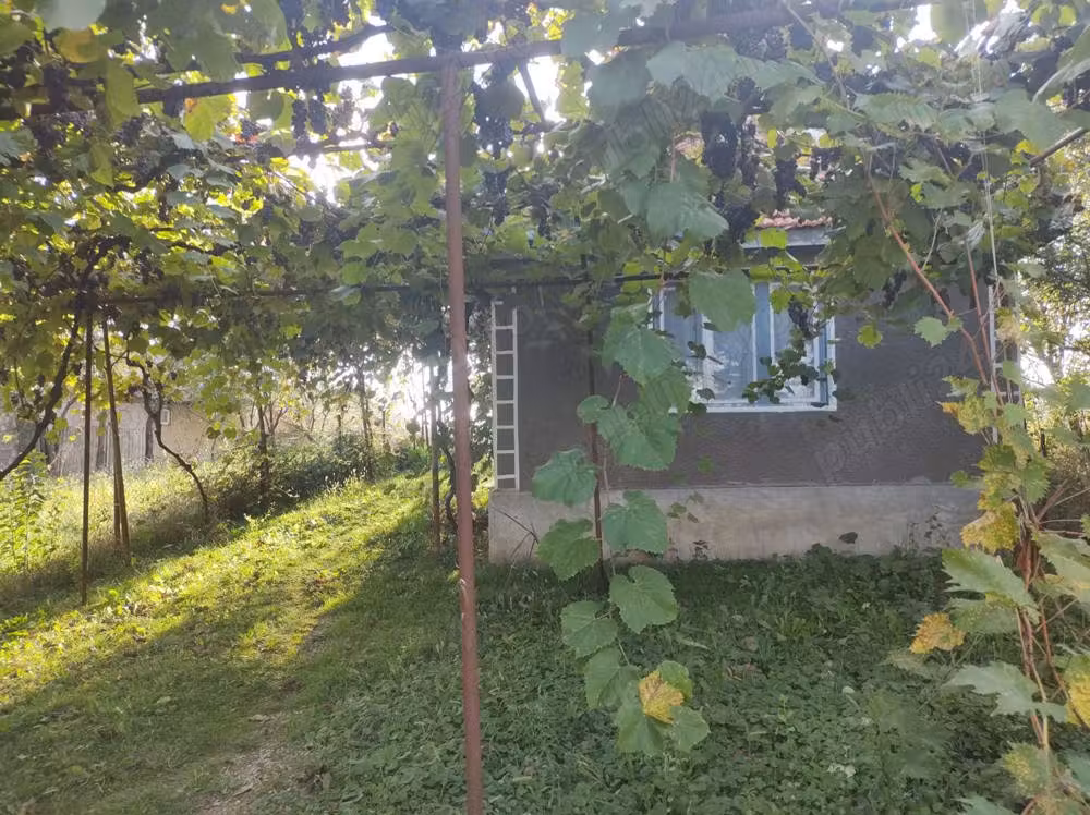 Casa mica Calea Mare - 15 km Oradea