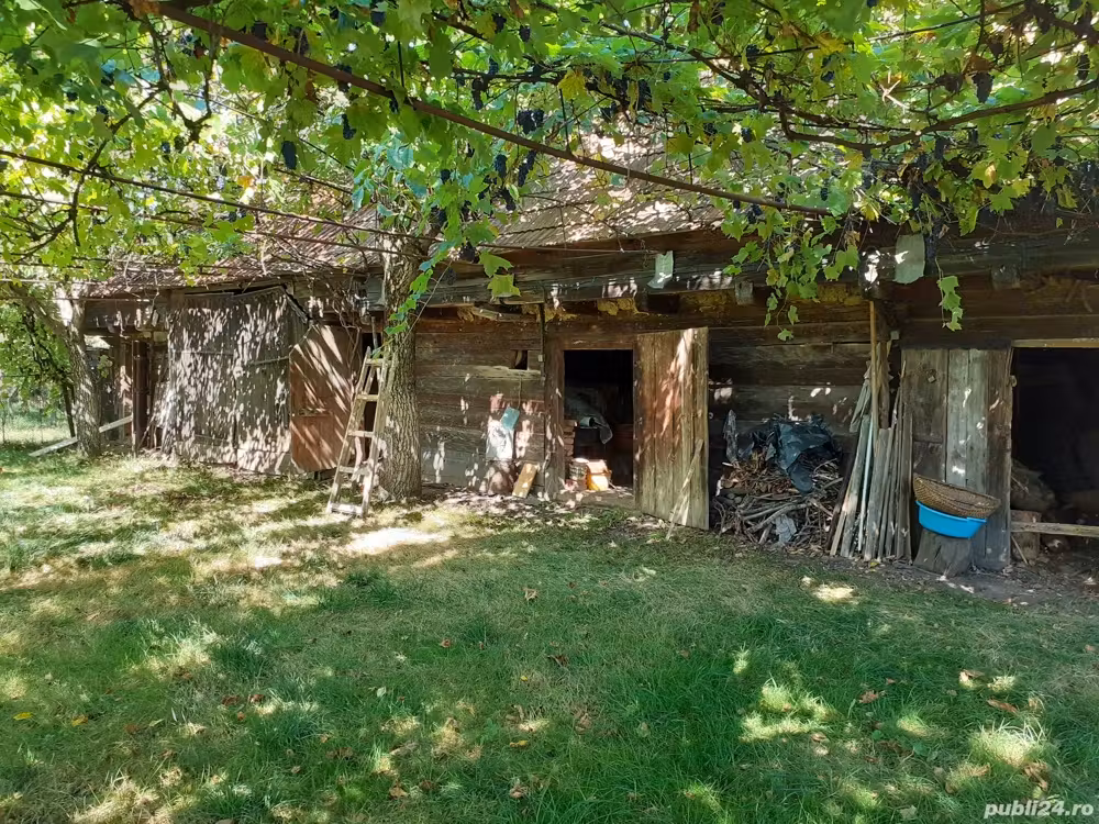 Casă cu teren și anexe