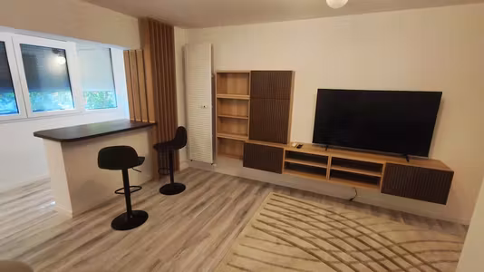 Apartament Ion Mihalache