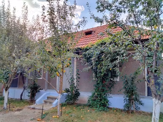 Casă Trifesti