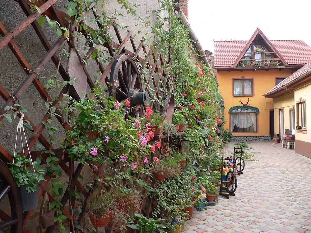 Casa+Pensiune de vanzare