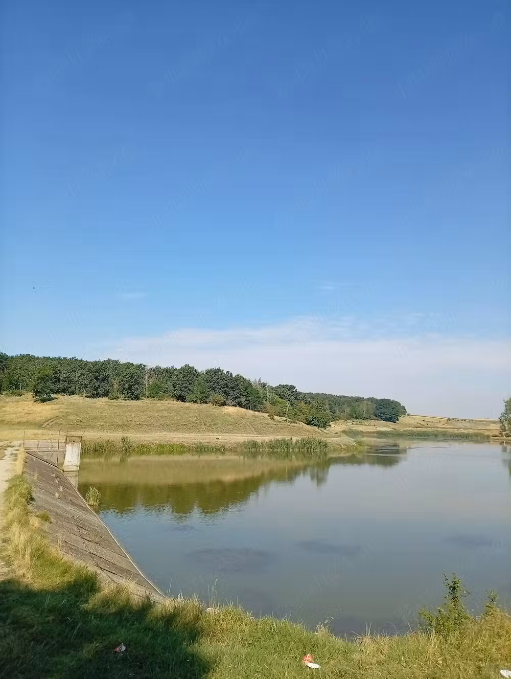 Vand Casa de Vacanta