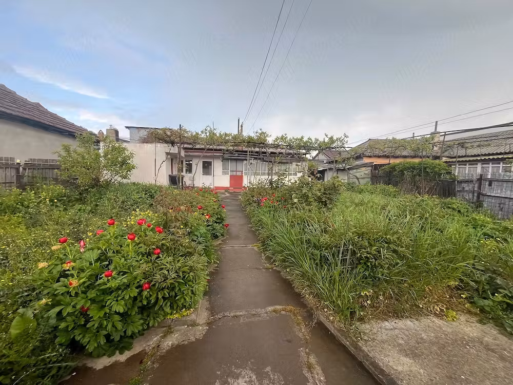 Bratianu casa bca
