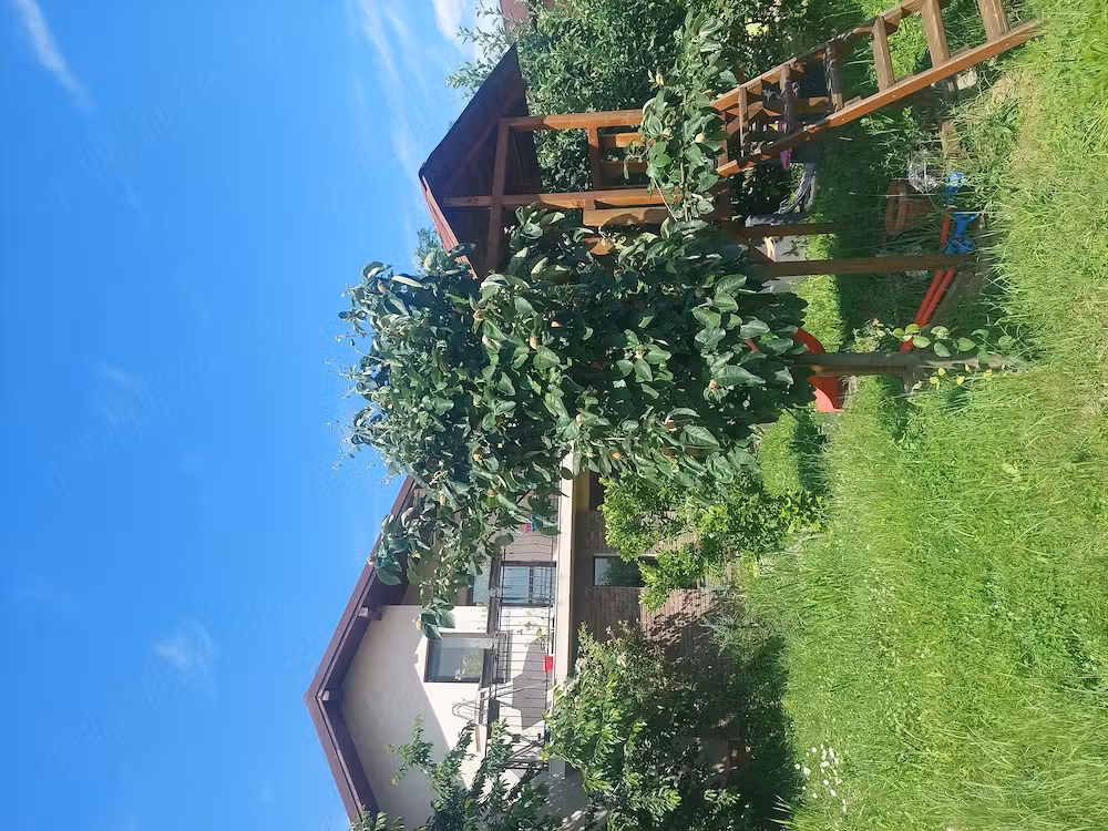 Casa P+1, Păulești Prahova