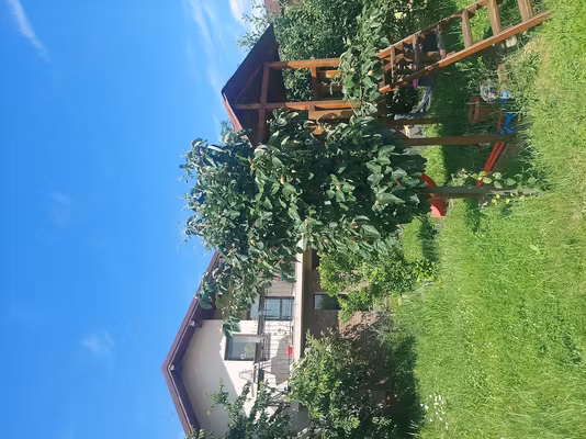 Casă PAULESTI