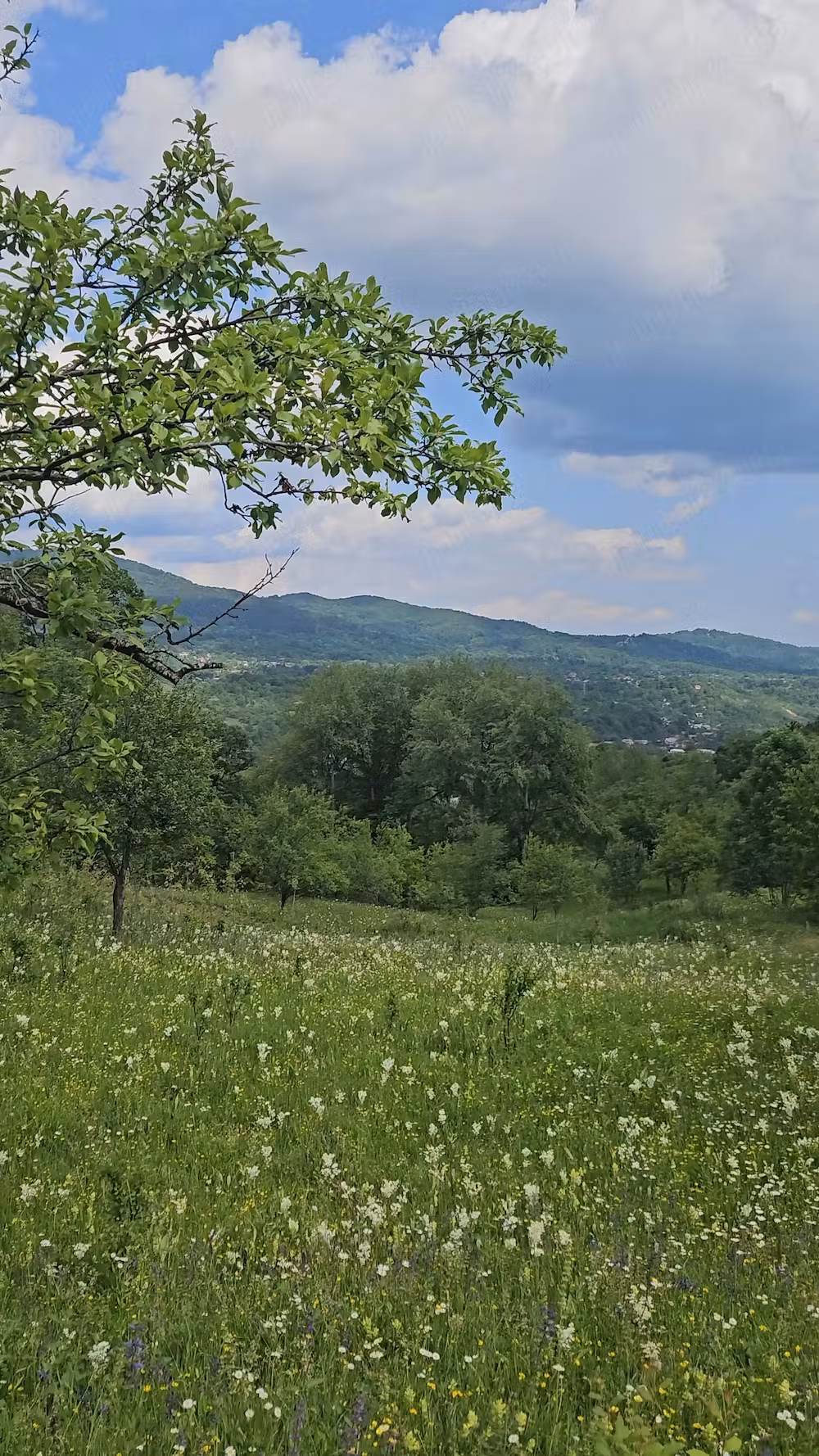Casă · 6 camere · 38 m², Ghiosesti, Comarnic