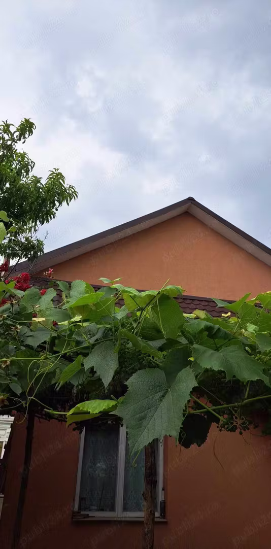 Casă Roman