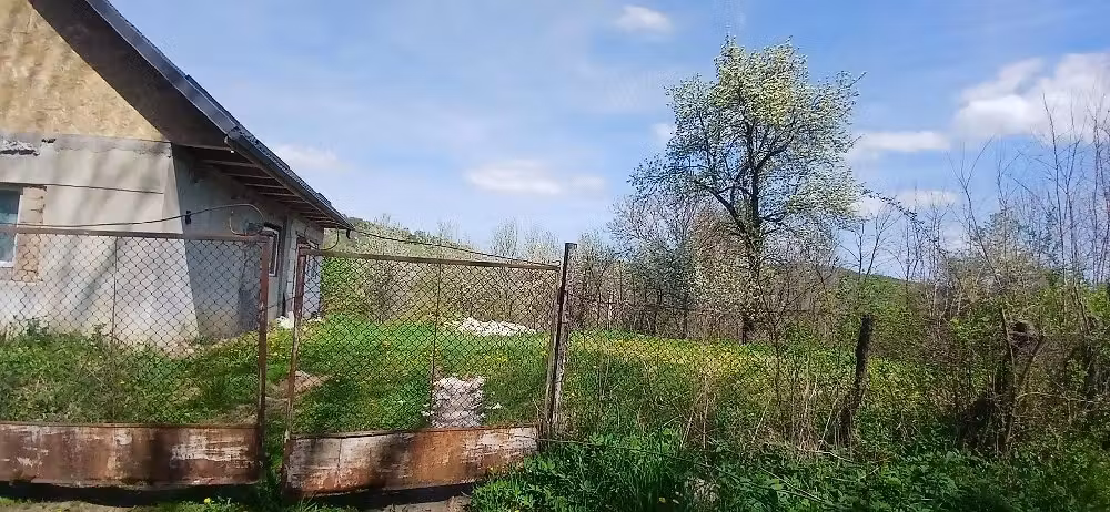 Vindem casa în Pacureni Județ Mureș