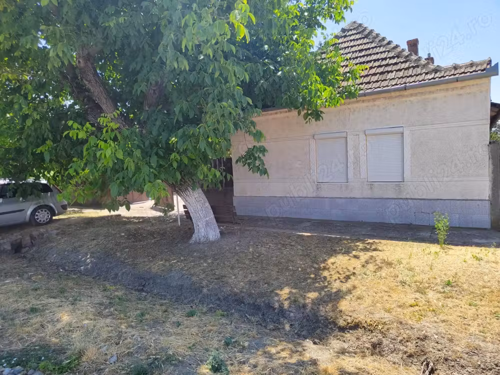 Casă · 6 camere · 16 m², Nerau, Sânnicolau Mare
