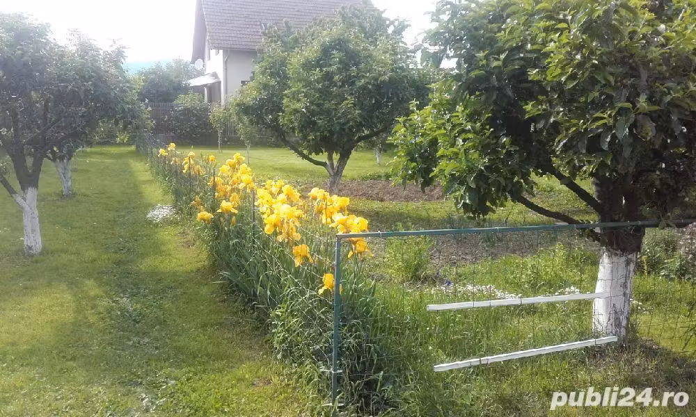 Proprietar vand casa