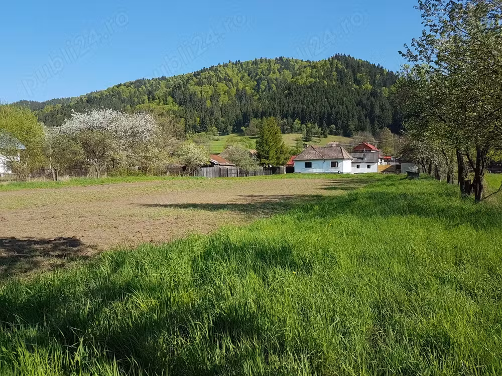 Casa din bârne de brad cu teren la munte, la râul Mureş