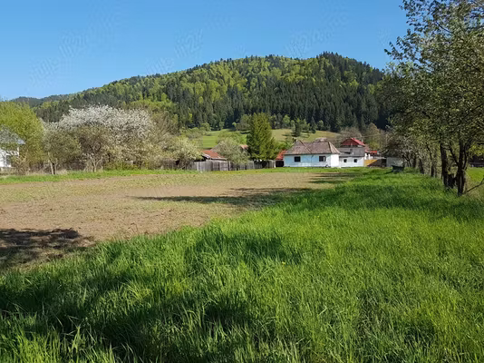 Casă Lunca Bradului