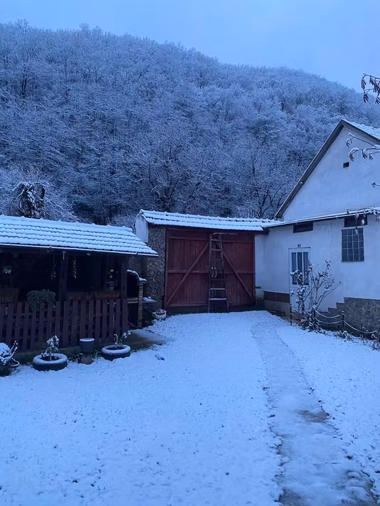 Casă Burjuc